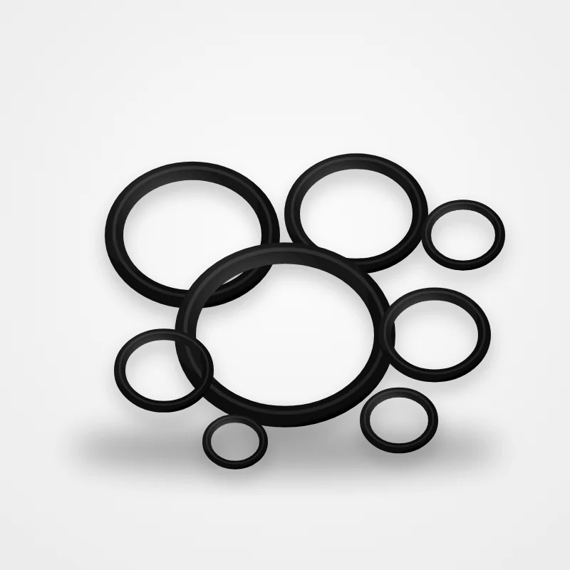 O-ring set (10 pcs)